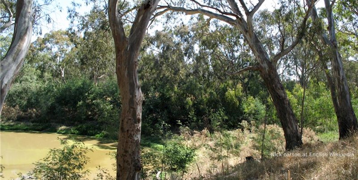 General-Practitioner-Required-Bulleen-Vic-1